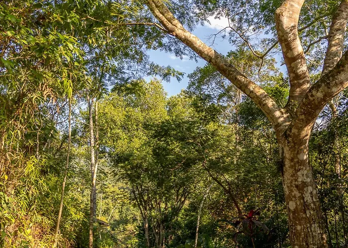 La Luciole Ecolodge