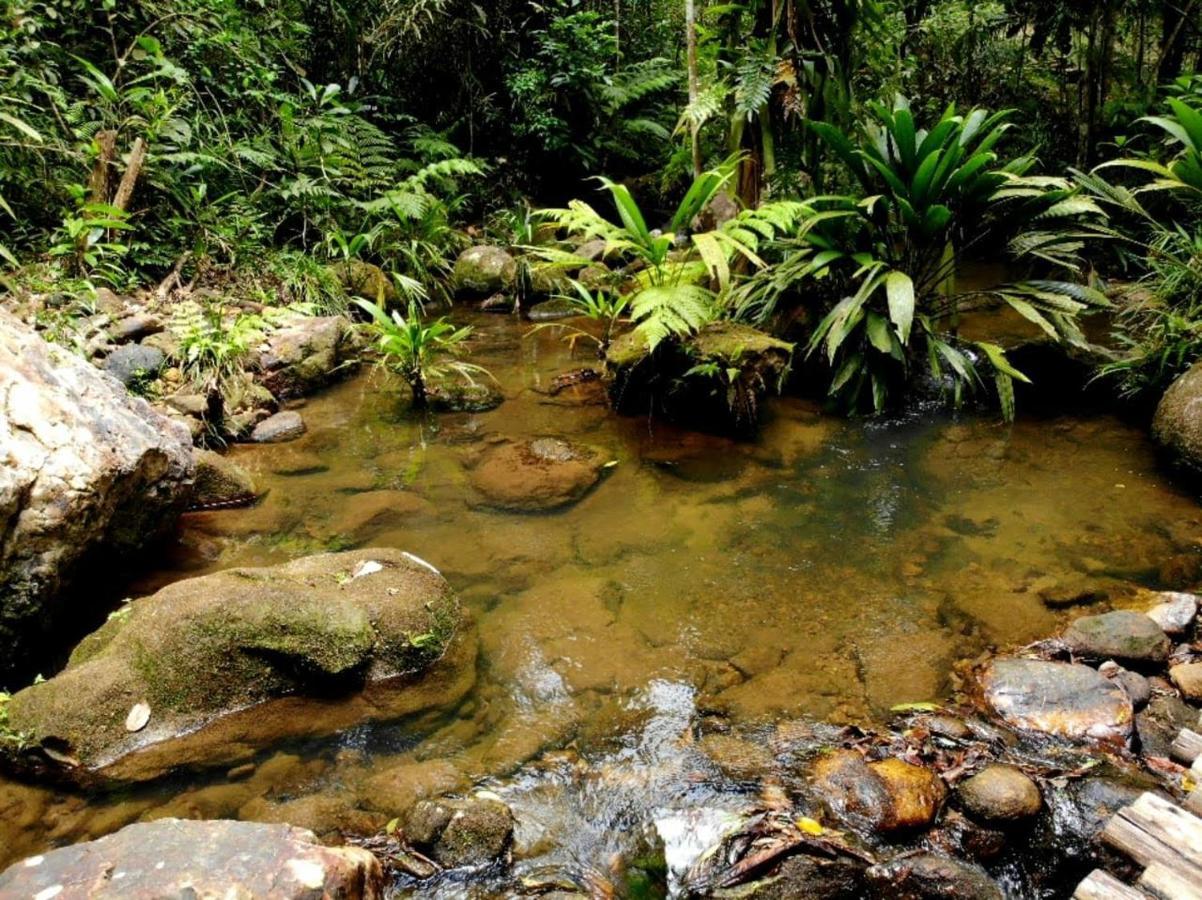 La Luciole * Paraty