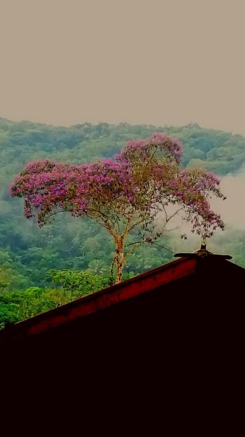 La Luciole * Paraty